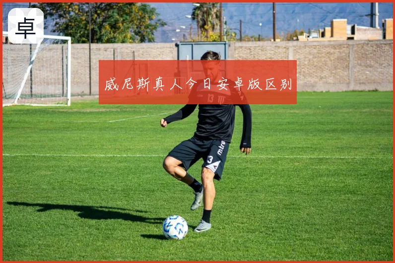 威尼斯真人今日安卓版区别
